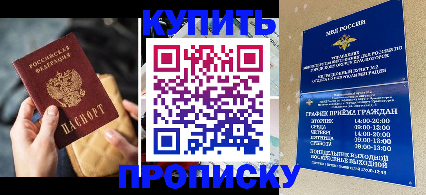 прописка законно в Дубне